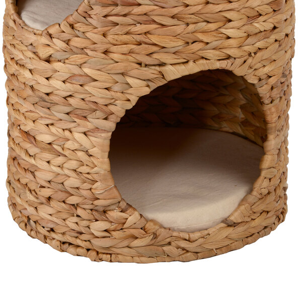 Cat barrel water hyacinth