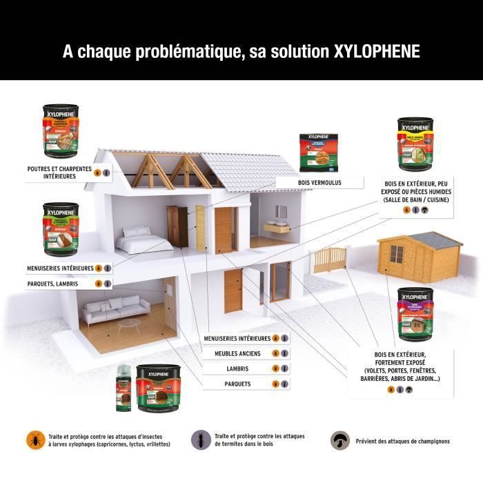 Traitement Poutres & Charpentes - Xylophène - 5L - Incolore - Insecticide - Anti-Termites
