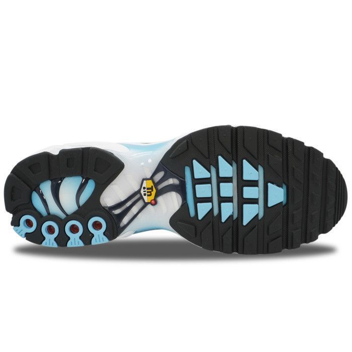 Nike Air Max Plus TN Dark Obsidian - IH4460-400_45