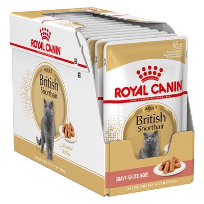 Royal Canin Britisch Kurzhaar Adult in Gravy