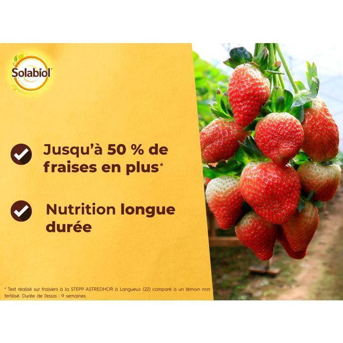 SOLABIOL Engrais fraisiers & petits fruits - 750g - Jusqu'à 15m² - Stimulateur de croissance - Nutrition longue durée