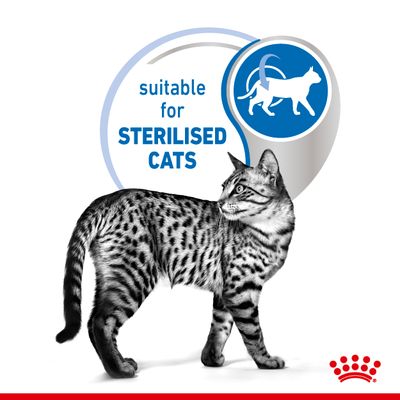 Royal Canin Εσωτερικής Χρήσης Αποστειρωμένη σε Ζελέ