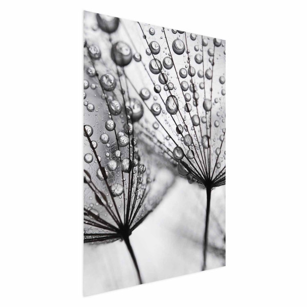 Plakat Rosa 21x30 cm