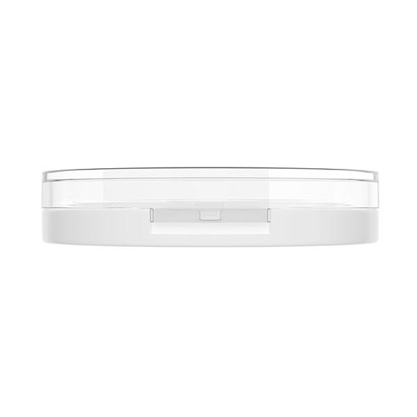 Bare Focus Clarifying Finishing Powder