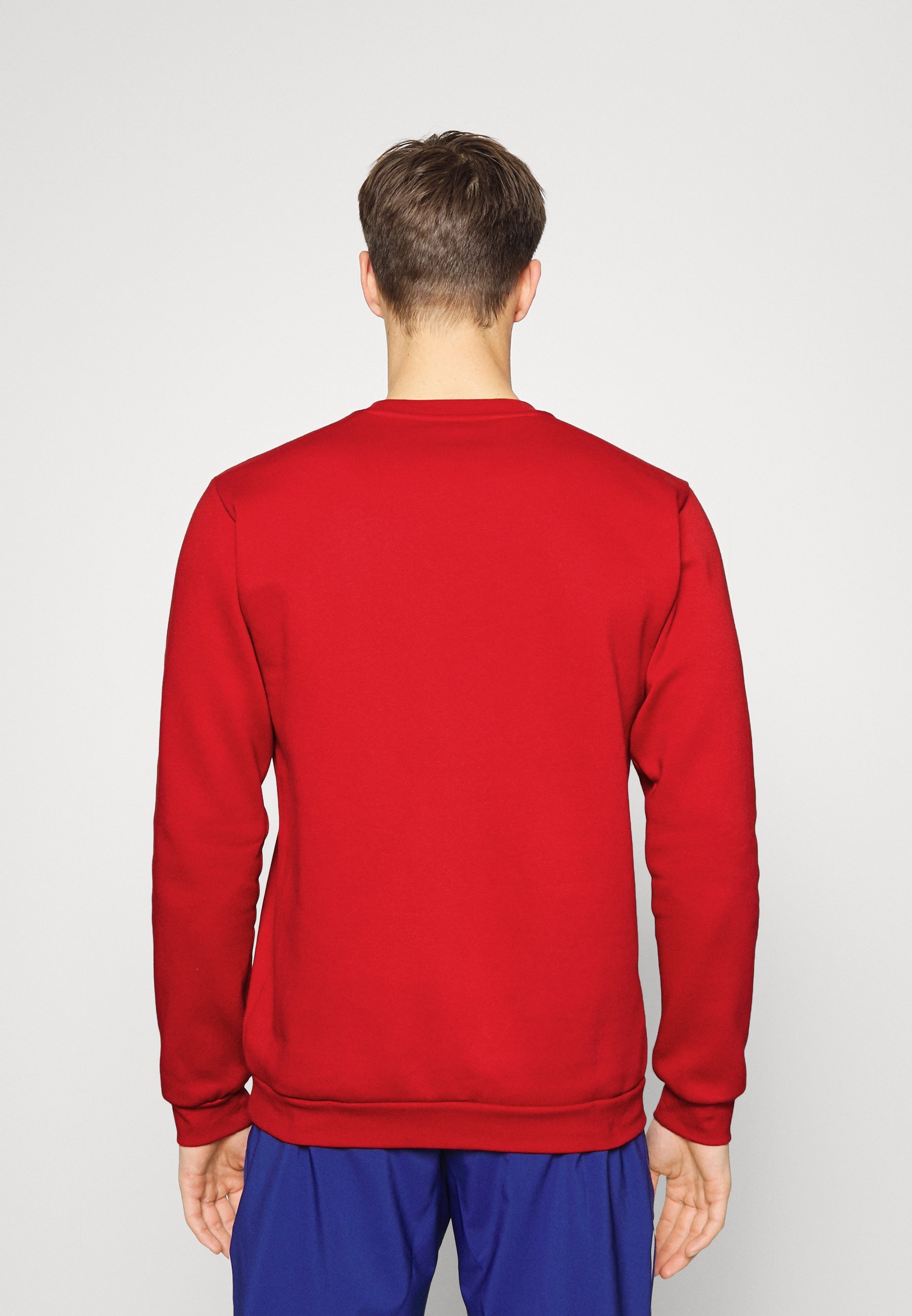 adidas Performance ENTRADA - Sweatshirt - tepore