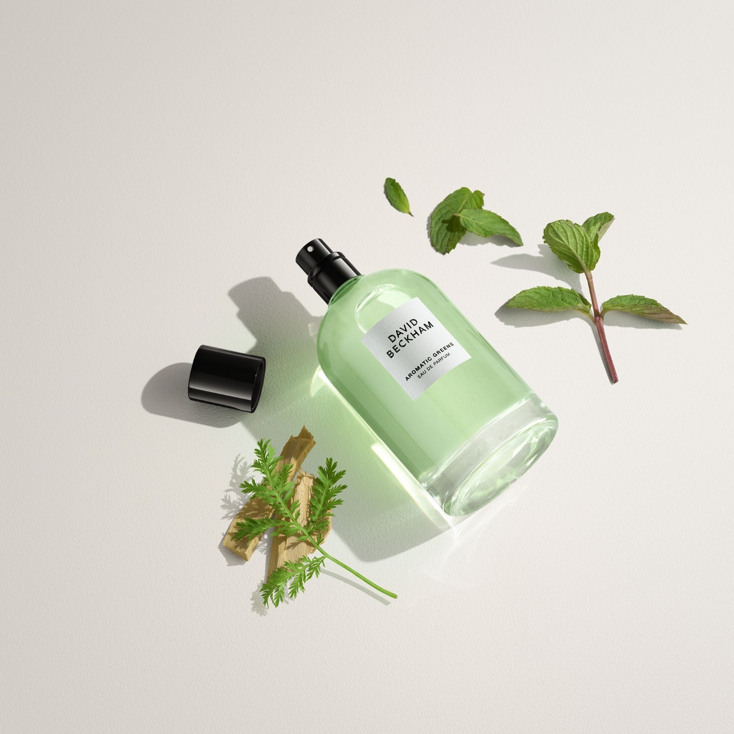 David Beckham parfemska voda aromatično zelenilo – 100 ml