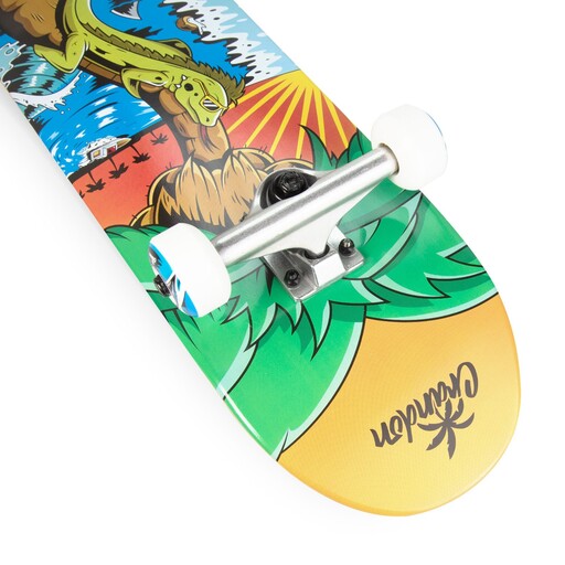  Komplettes Skate Crandon SKC825palm