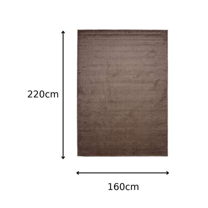 TAPISO NOYAN lyhytkarvainen matto olohuoneeseen tai makuuhuoneeseen, yksivärinen ruskea, moderni polypropeeni, sisäkäyttöön, 160x220 cm