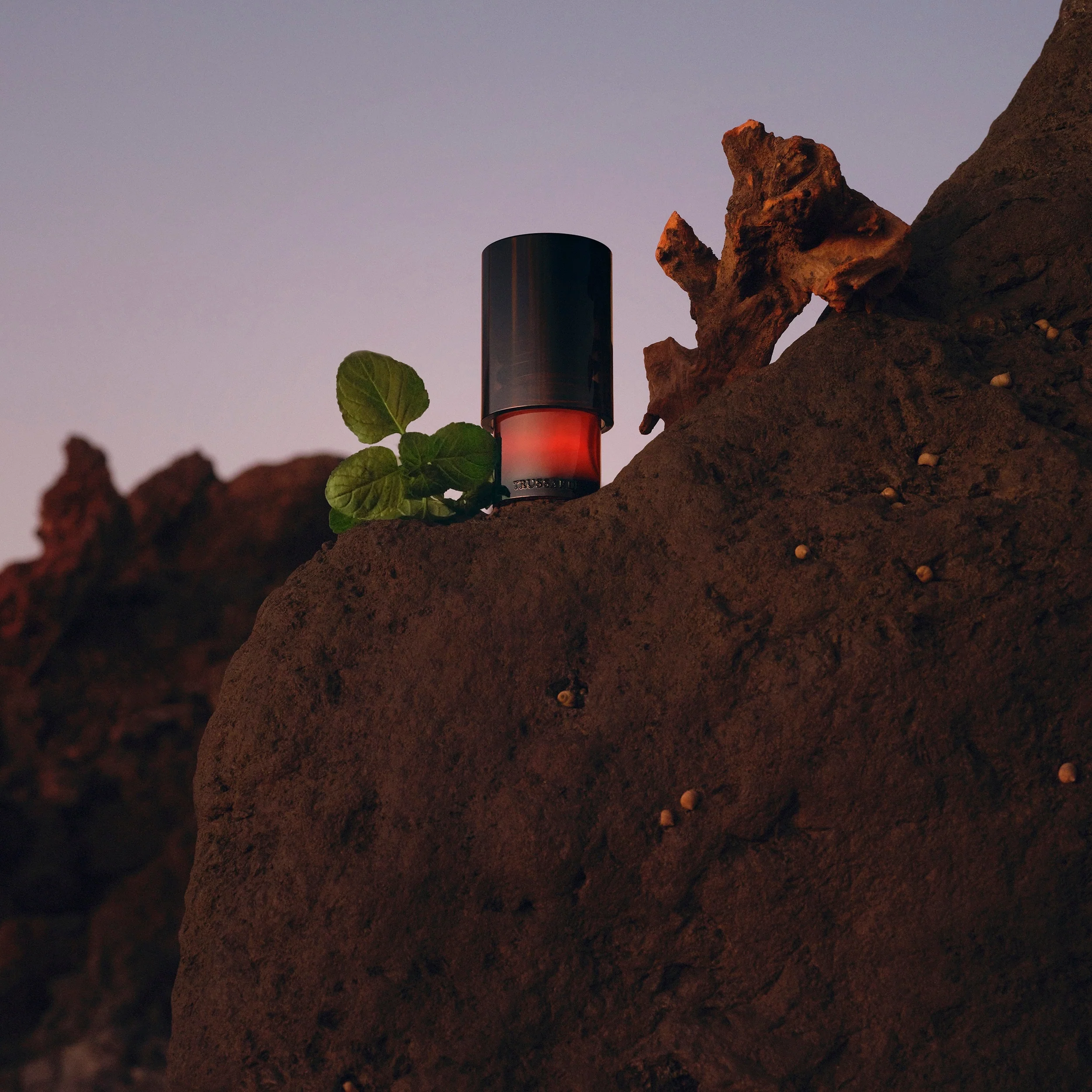 Primo Primo - Eau de Parfum