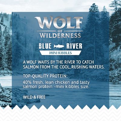 Wolf of Wilderness Volwassen Mini 