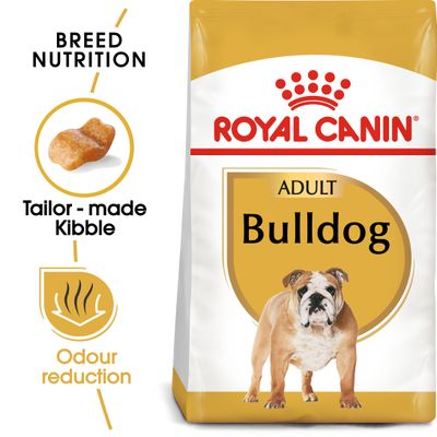 Bulldog adulto Royal Canin