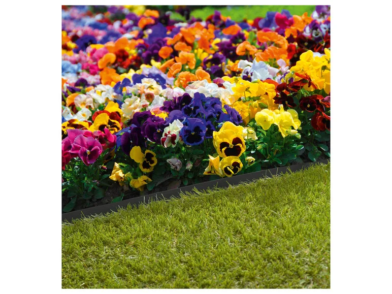 Bordas para gramado PARKSIDE®