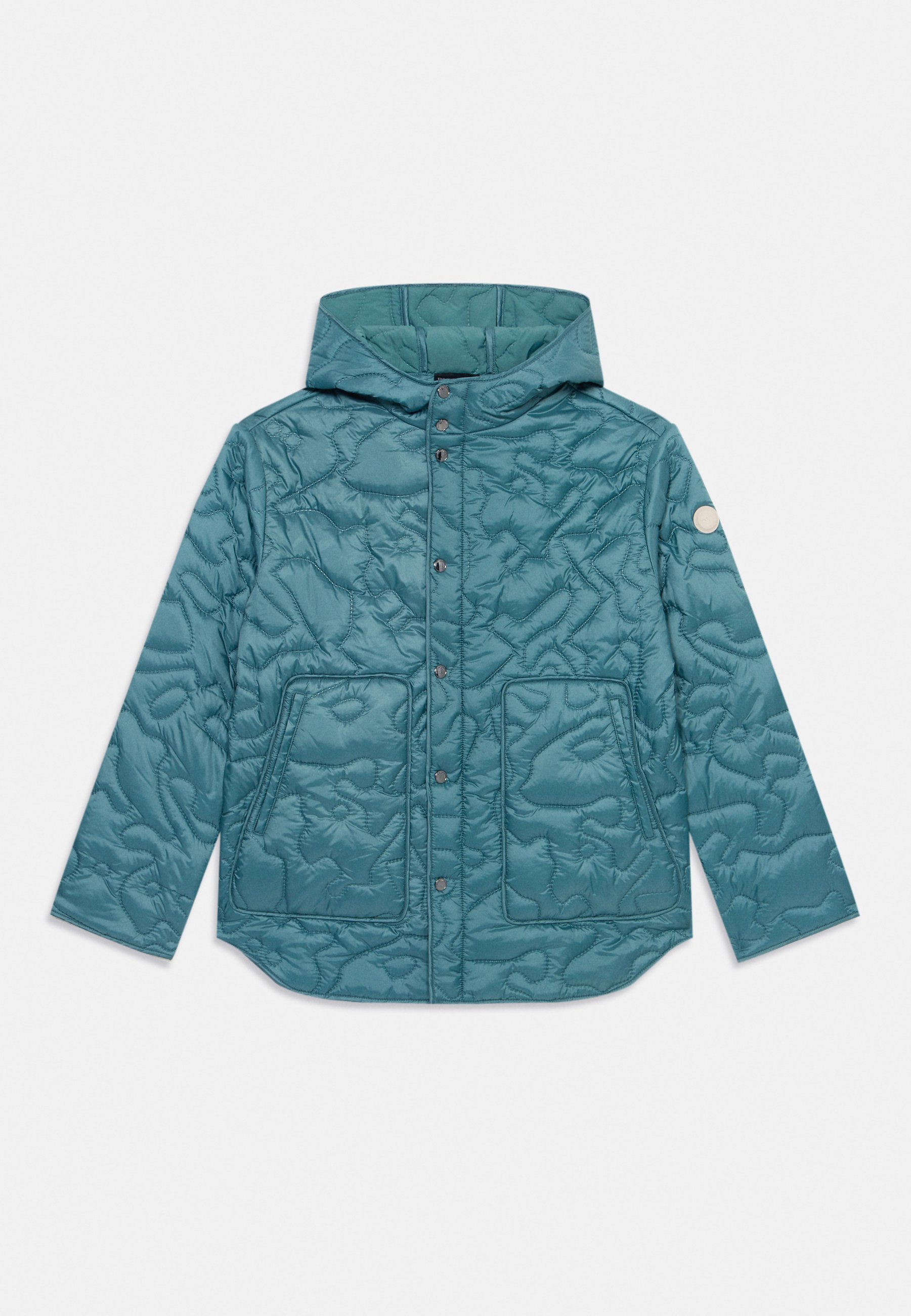 Emporio Armani BLOUSONJACKET UNISEX - Winterjas - zilvergrijs