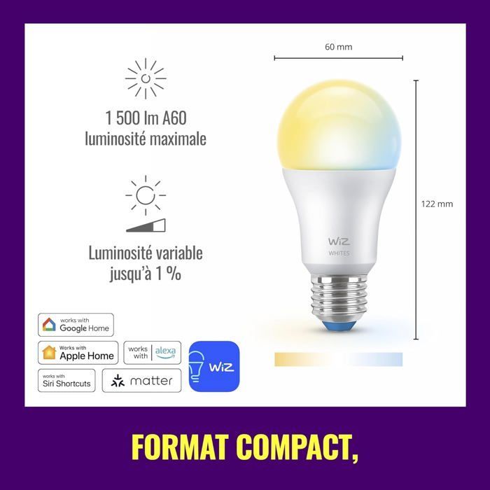 WiZ - Ampoule LED connectée Tunable White A60 E27 100 W équivalent (jusqu’à 1521 lm)