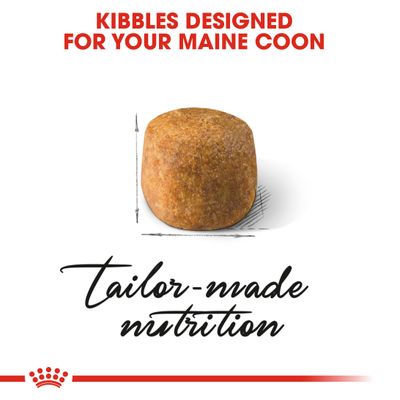 Royal Canin Maine Coon Adulto