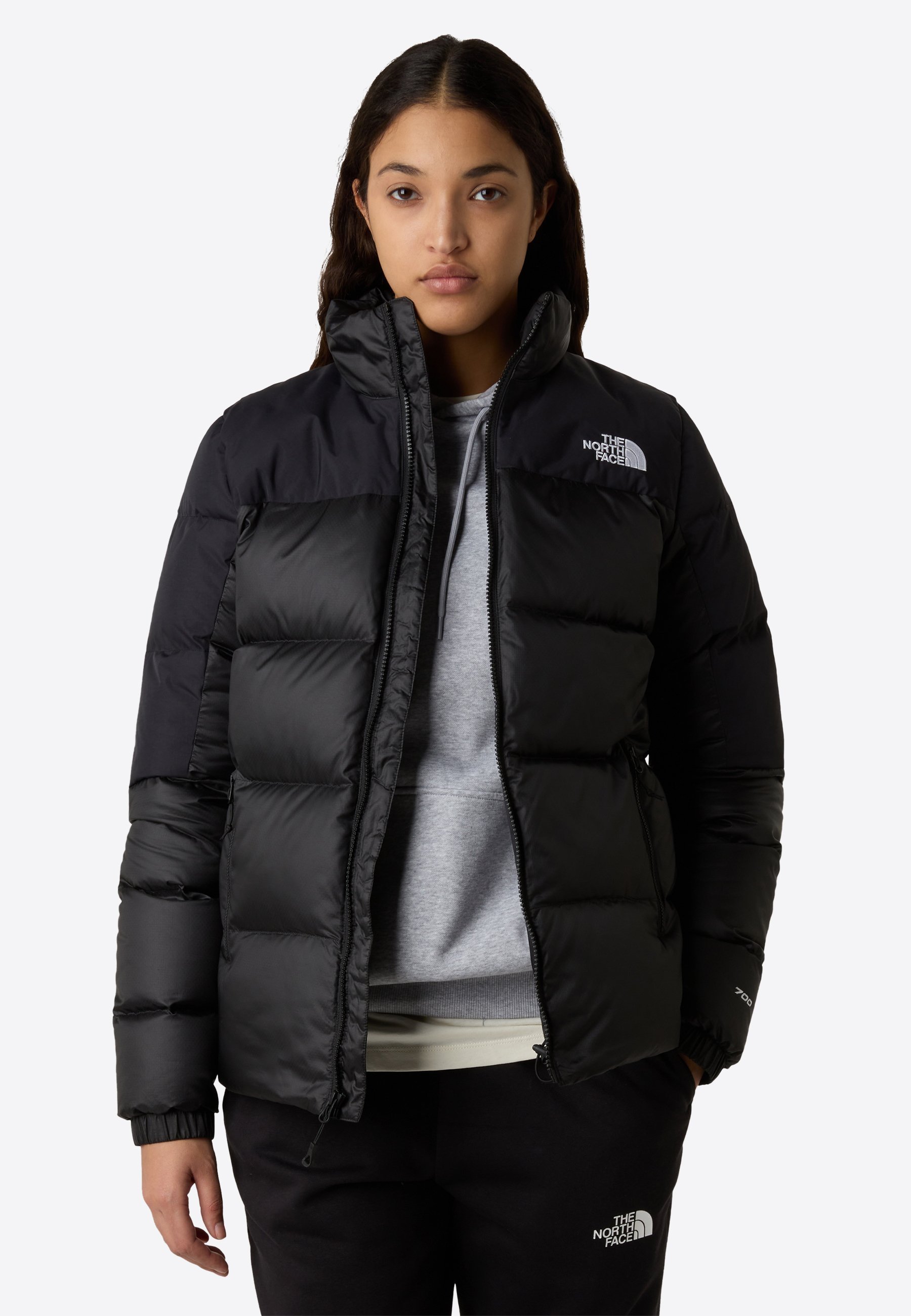 DIABLO DOWN 2.0 JACKET - Péřová bunda - black/black