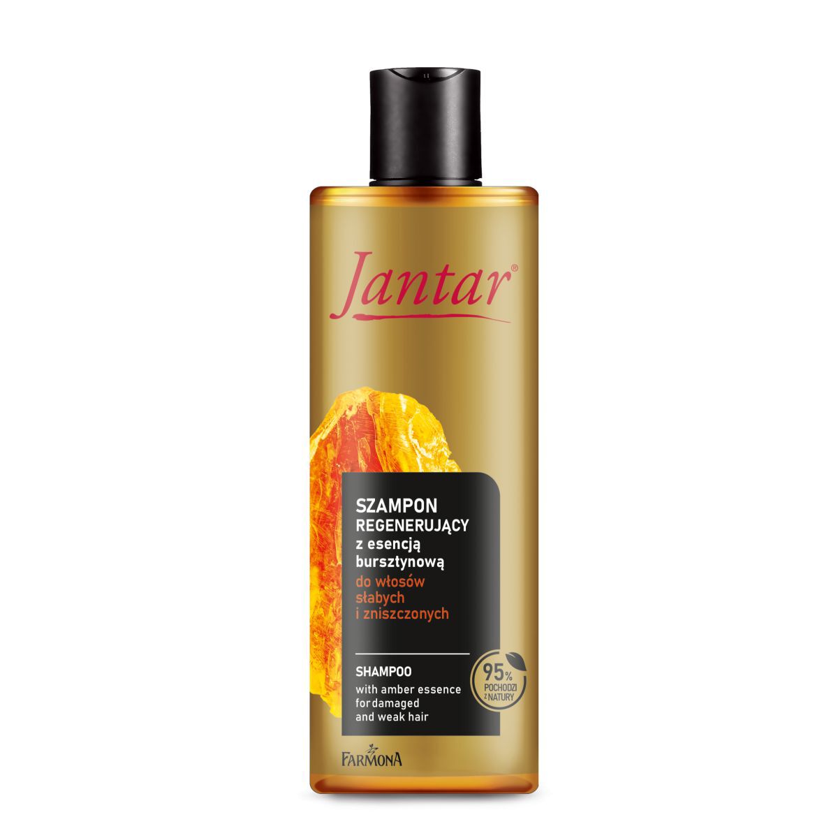 Jantar Amber Regeneration