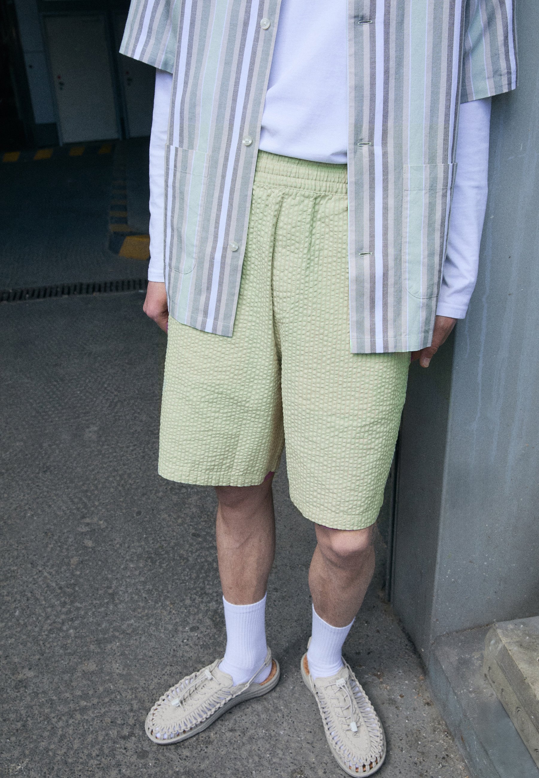 Carhartt WIP TOLAND - Pantaloncini - verde oliva chiaro