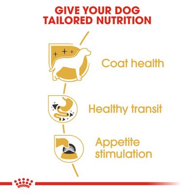 Royal Canin Chihuahua Loaf