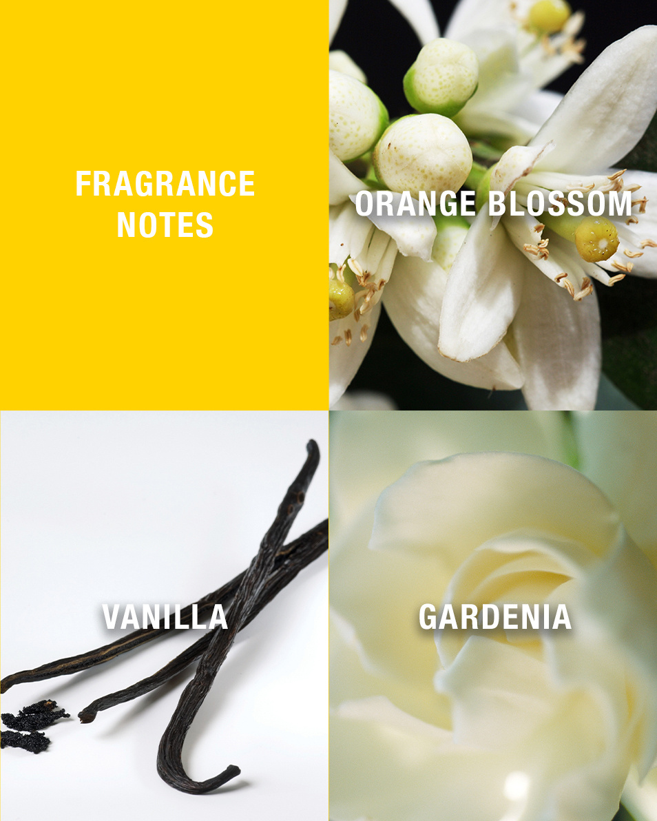 GIORGIO BEVERLY HILLS GIORGIO MOTERIMS TUALETINIS PURŠKALAS