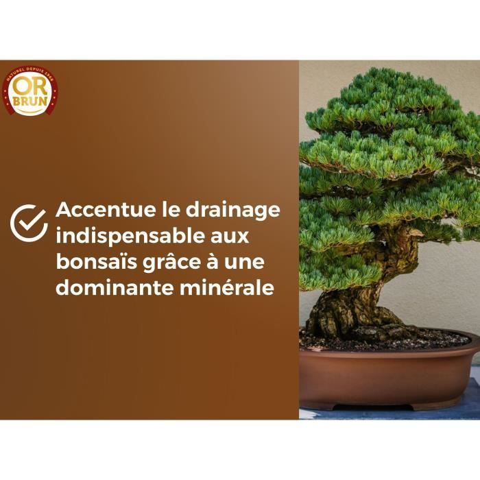 Terreau bonsaïs - OR BRUN - OBRTBON6U - 6L - Meilleur enracinement