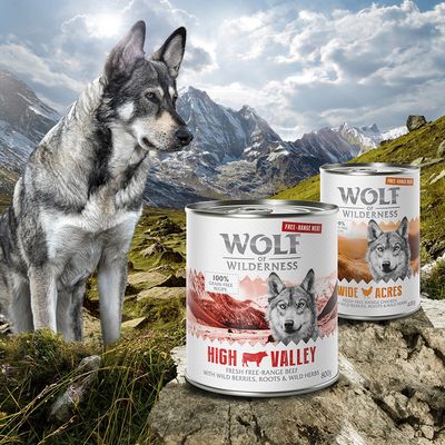 Wolf of Wilderness – stada mieszane z wolnego wybiegu