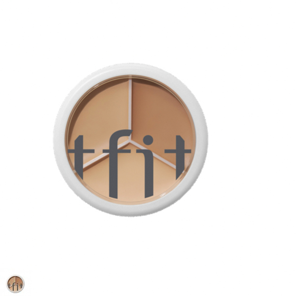 TFIT Cover Up Pro Concealer #01 NØYTRAL
