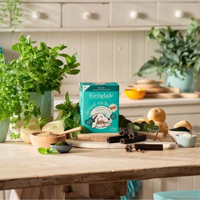 Bâtonnets dentaires naturels Forthglade pour chiens