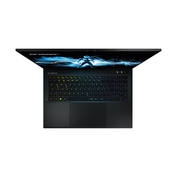 Φορητός υπολογιστής παιχνιδιών Beast X40 17