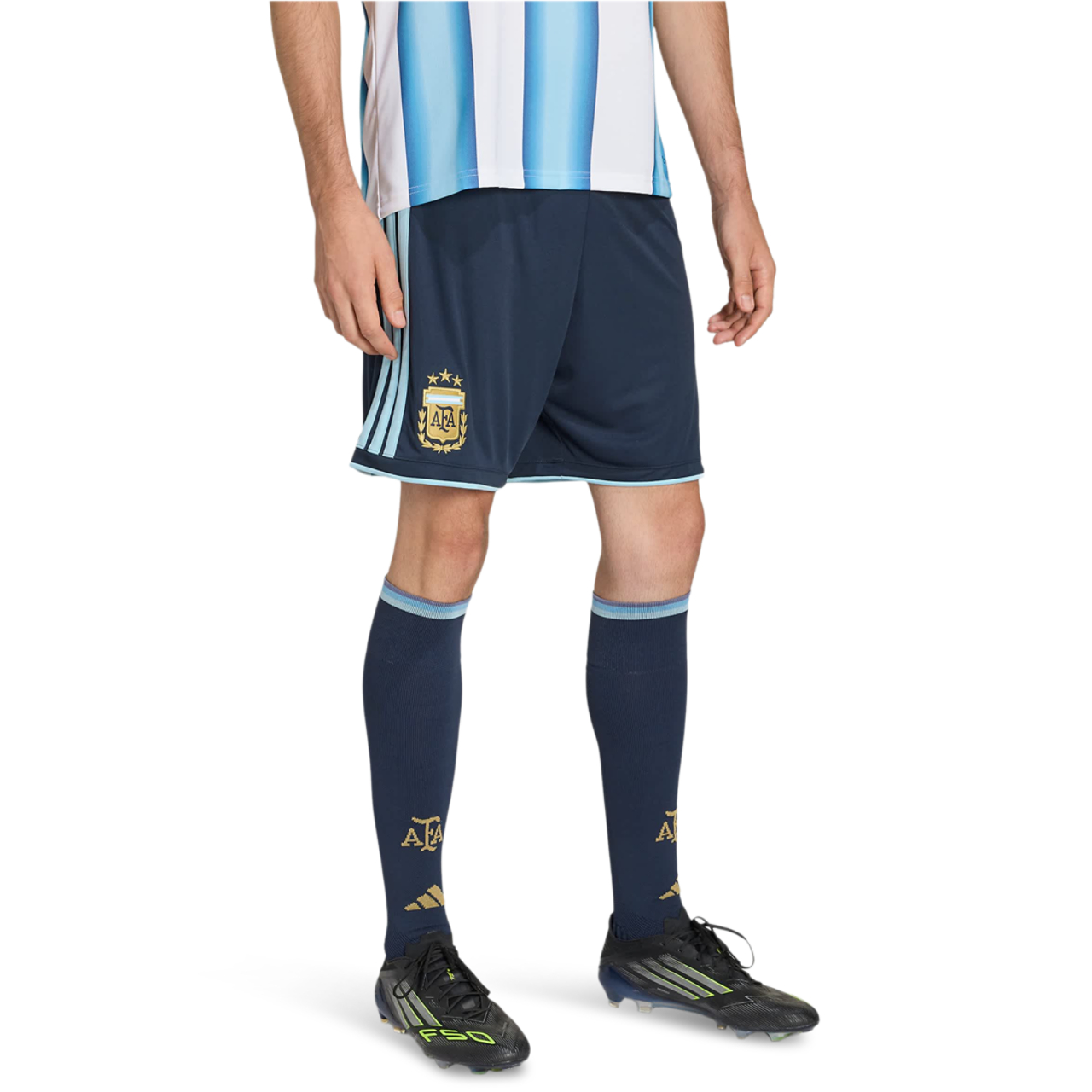 adidas Argentina 26 Hjemmebaneshorts
