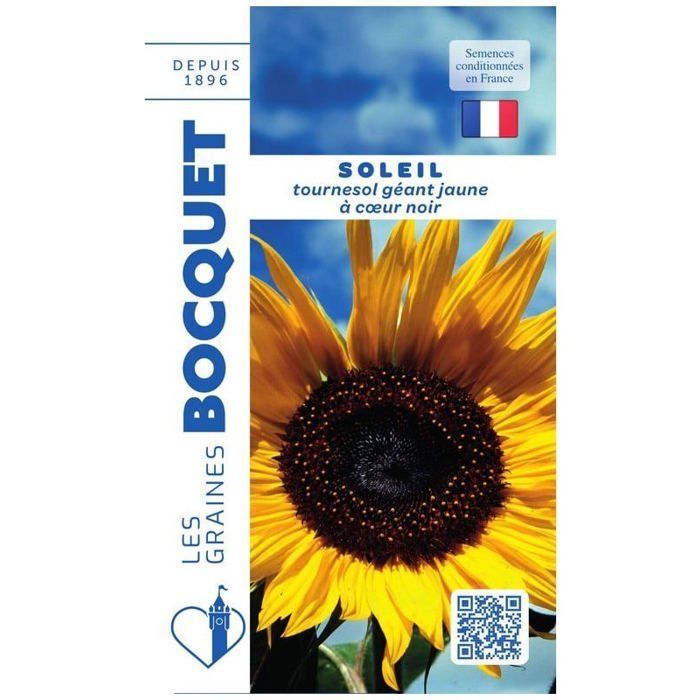 Graine - Semence - Soleil tournesol géant jaune coeur noir