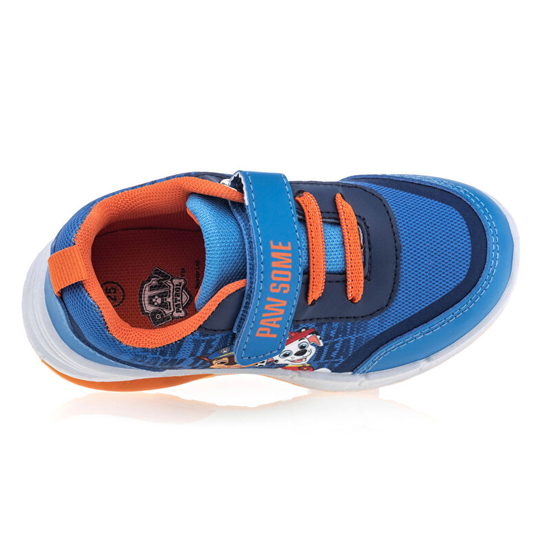 Korgar / sneakers Garcon Bleu