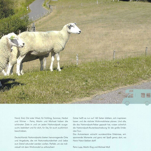 Reisgids: Uitgestrekte vlaktes, wildernis, campervan
