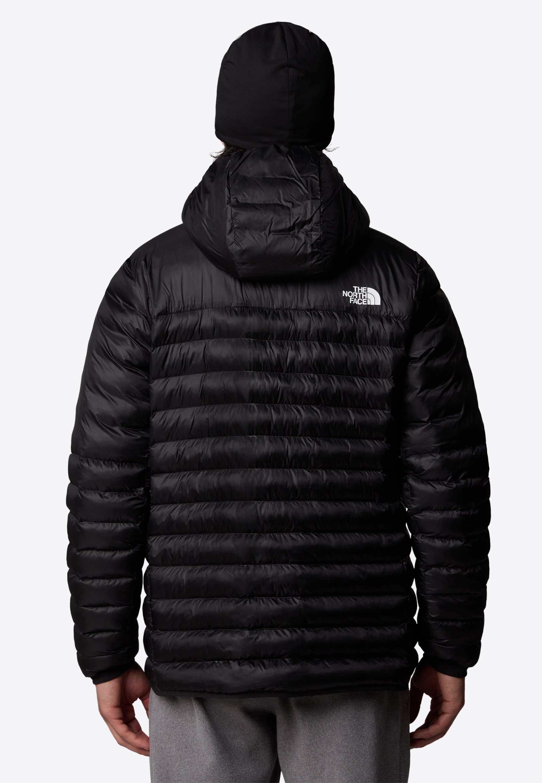 The North Face M TERRA PEAK HOODIE - Winterjas - tnf zwart