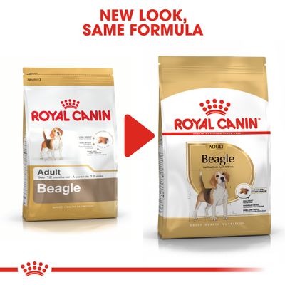 Royal Canin Beagle Ενήλικα