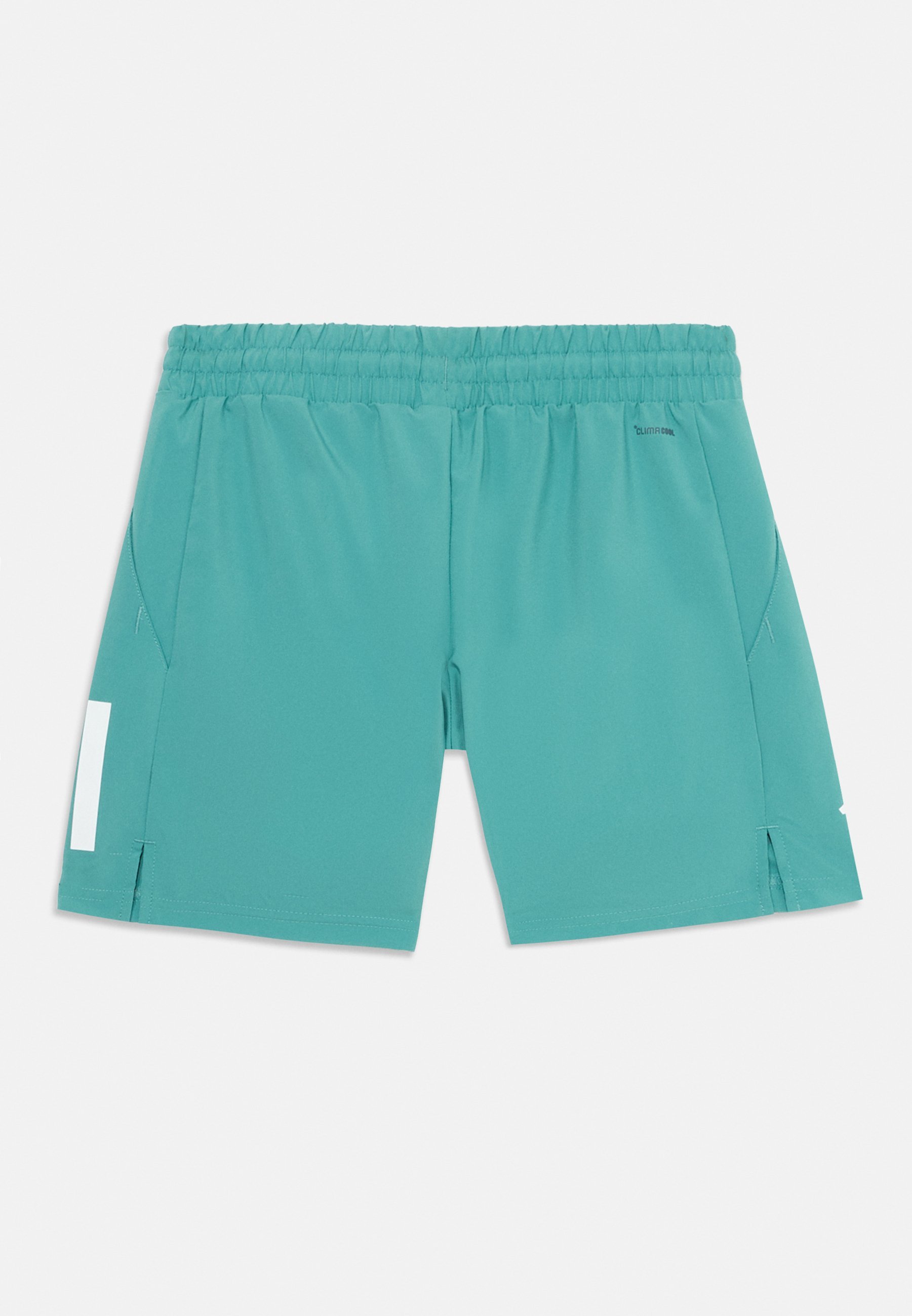 adidas Performance UNISEX - Sportshorts - poedergroen
