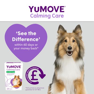 YuMOVE Trattamento calmante per cani adulti