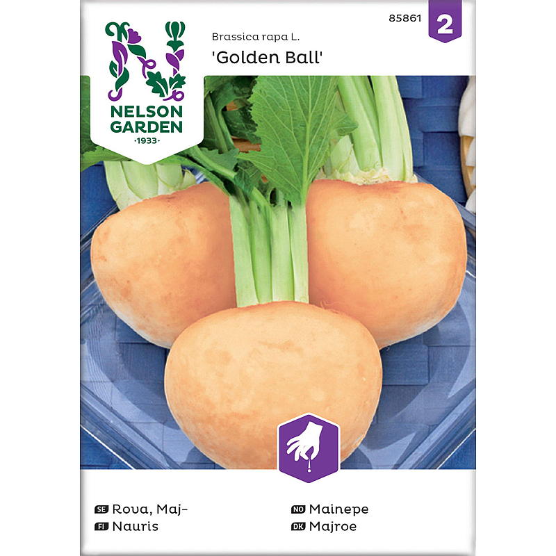 Semences de jardin Nelson Mainepe Golden Ball