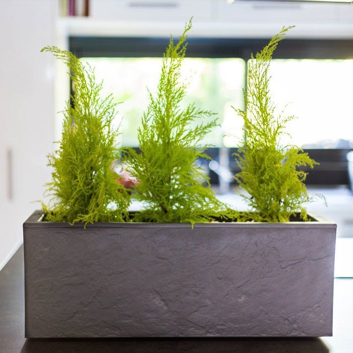Balkonplantenbak - EDA - Volcania Up - 25 L - Binnen/Buiten - Steenlook - 59 x 19,5 x 22,8 cm - Antracietgrijs
