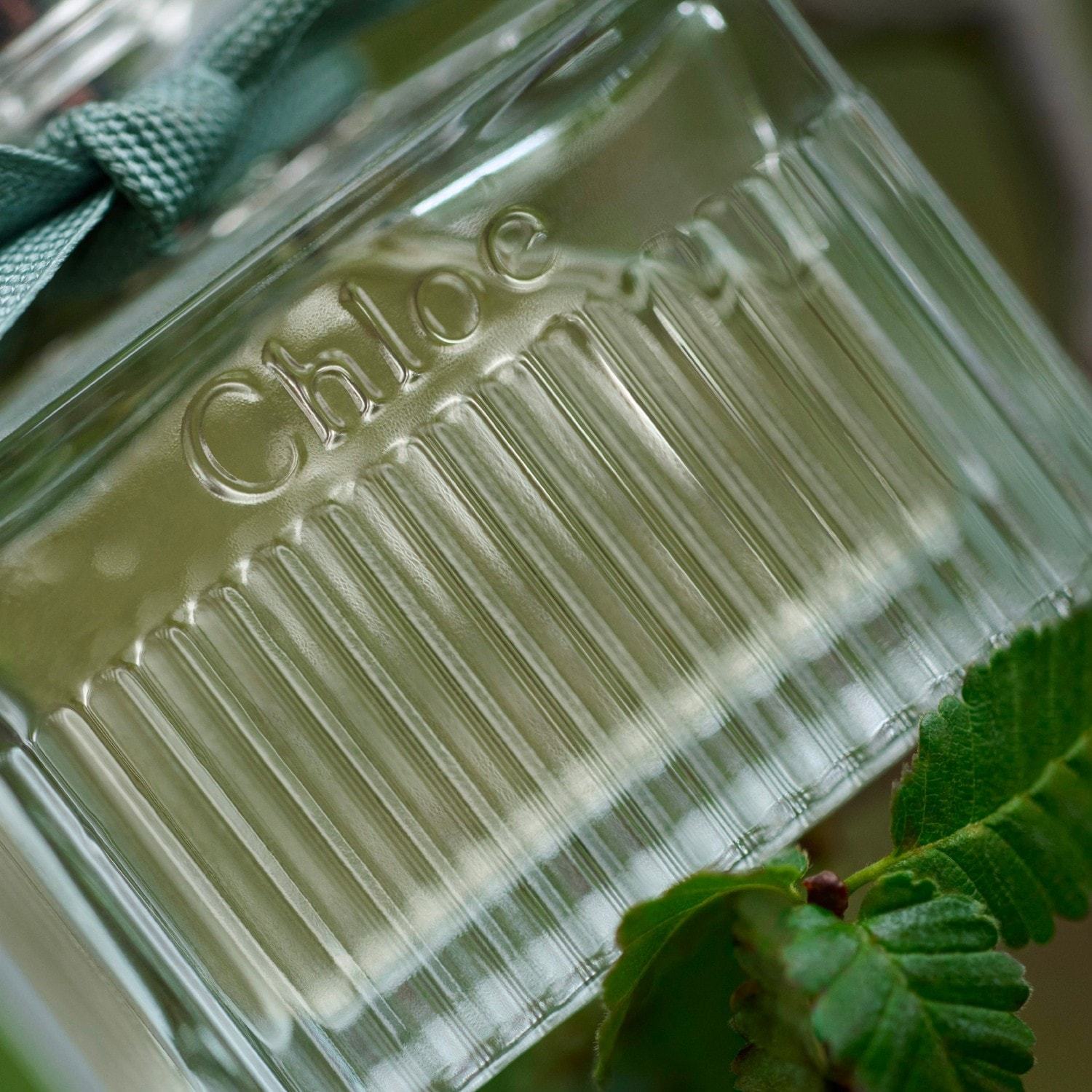 Chloé Eau de Parfum Chloé Rose Naturelle Intense - 30 ml