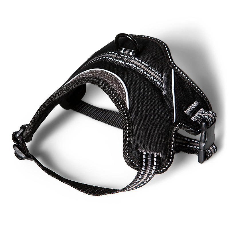 Zoozaker-koiranvaljaat 35 cm, kahvalla