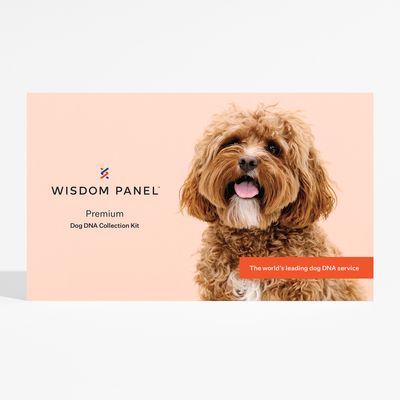 Wisdom Panel™ Premium Hunde-DNA-Test