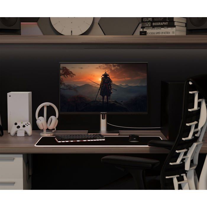 Ecran PC Gamer - JAPANNEXT - 24.5