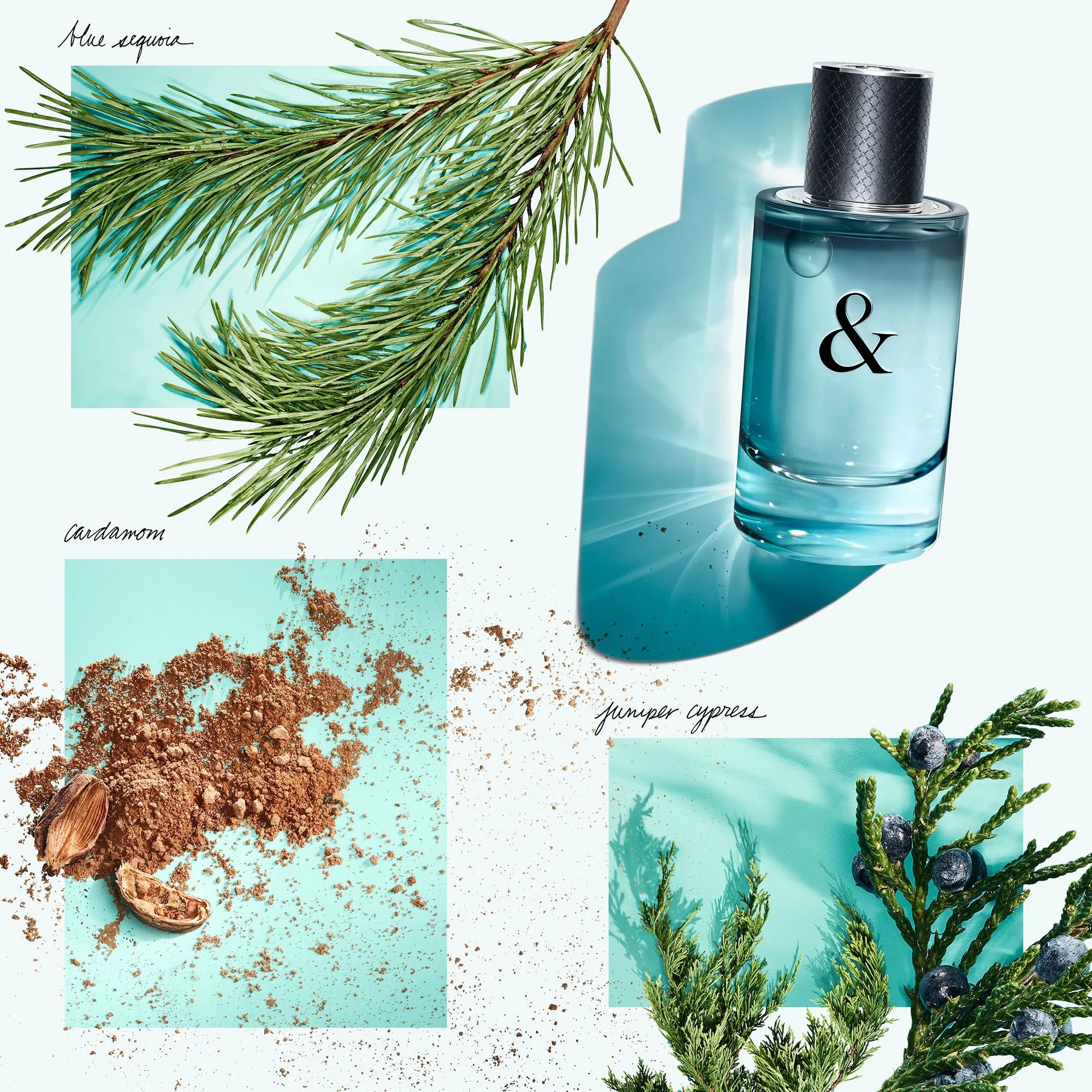 Tiffany & Love For Him Tiffany & Love For Him - Eau de Toilette