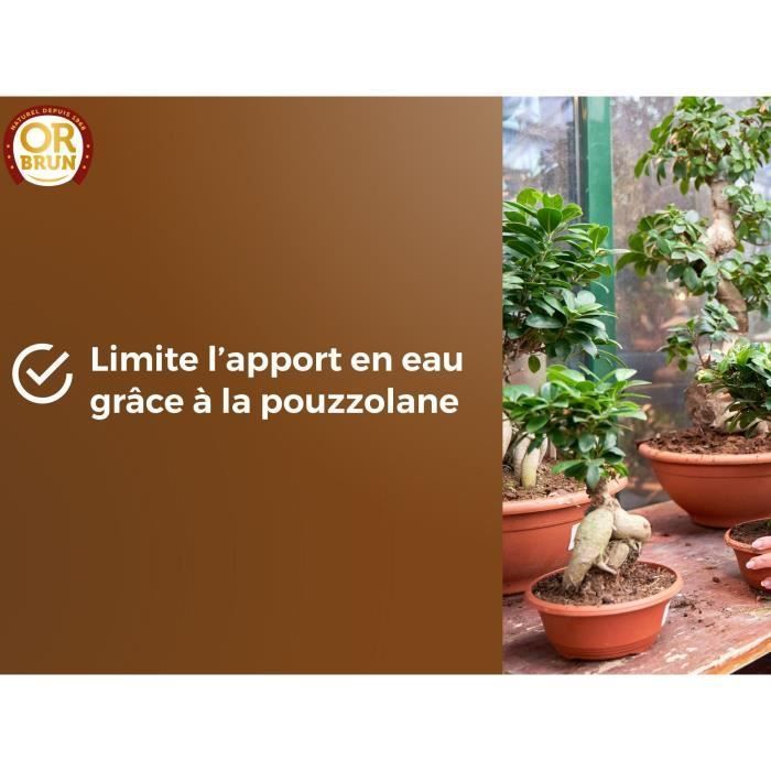 Terreau bonsaïs - OR BRUN - OBRTBON6U - 6L - Meilleur enracinement