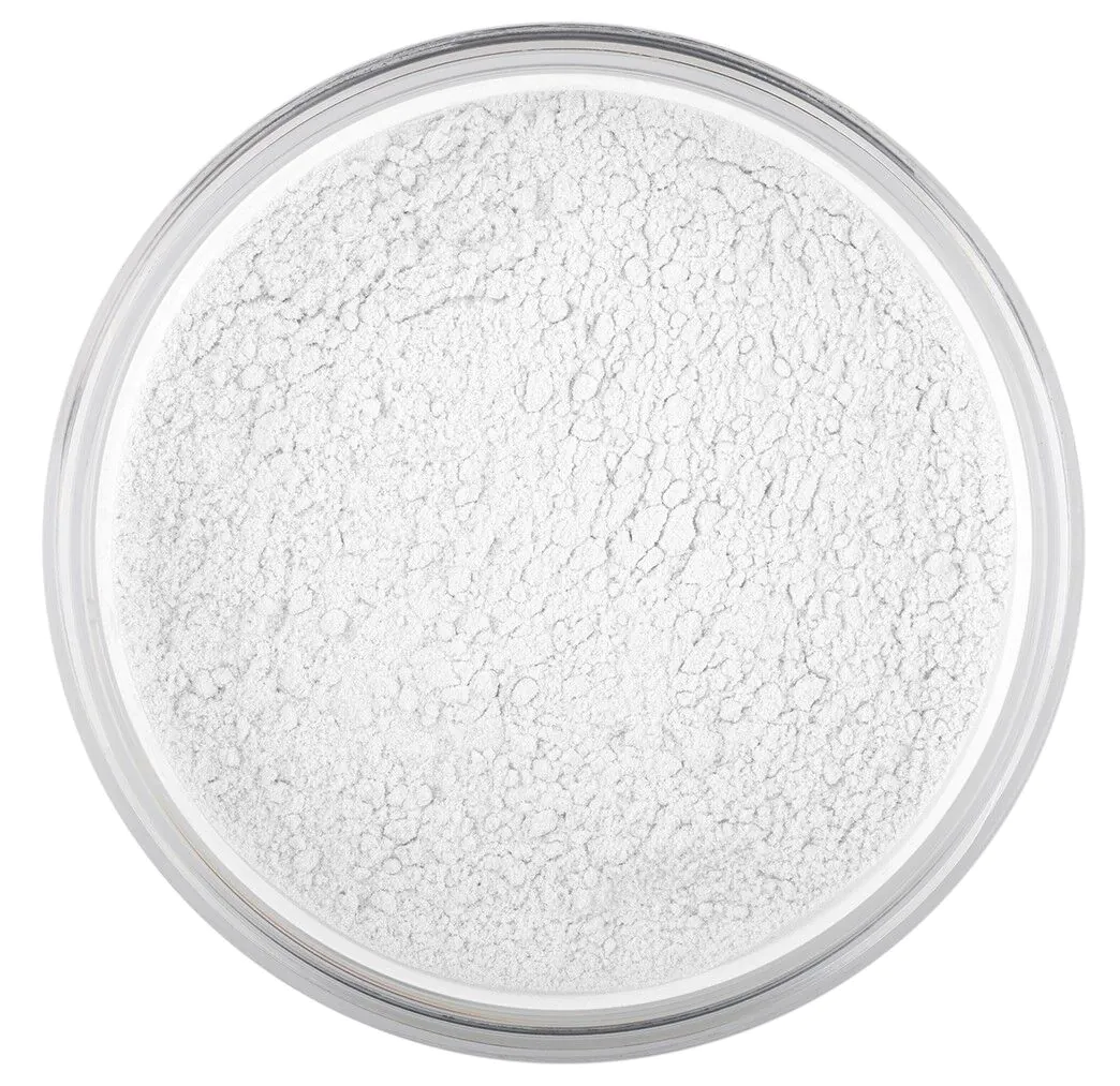 Pierre Rene Velvet Matte Loose Powder - Puder sypki 12g