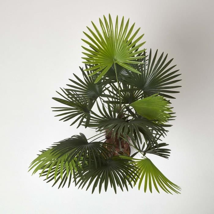 Palmier bambou vert Lady Palm en pot, 90 cm