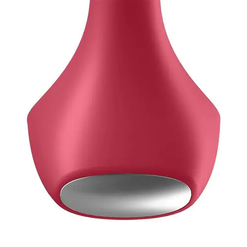 Satisfyer Backdoor Lover