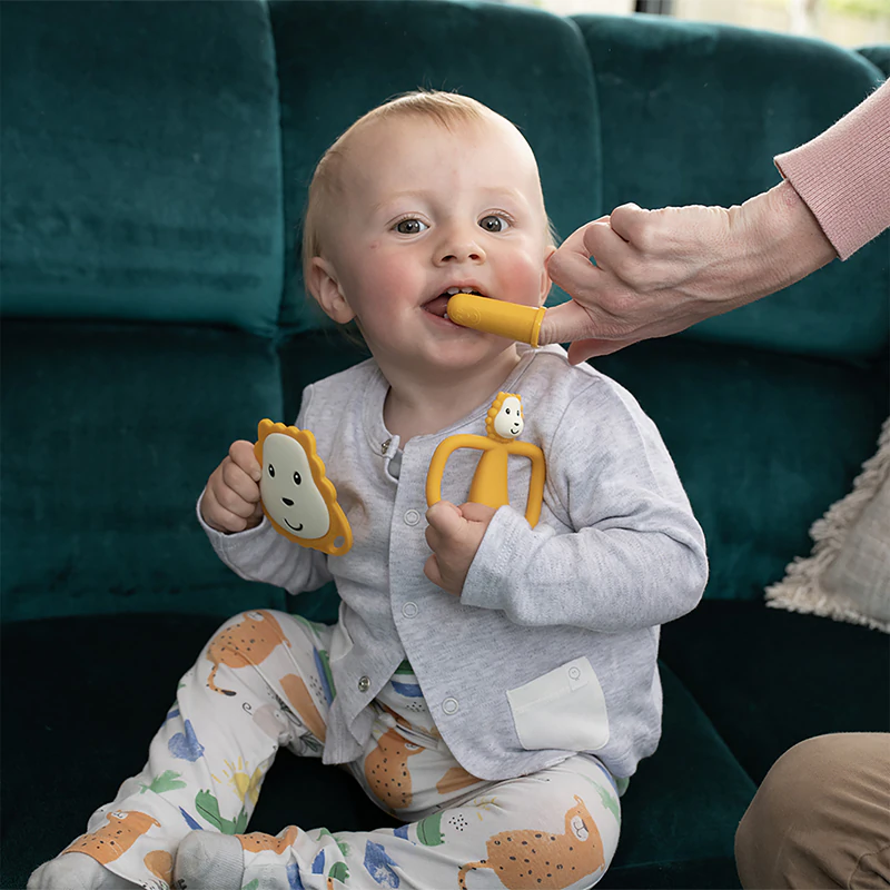 Streichholz-Affen-Starterset, Löwen-Geschenkset für Kinder