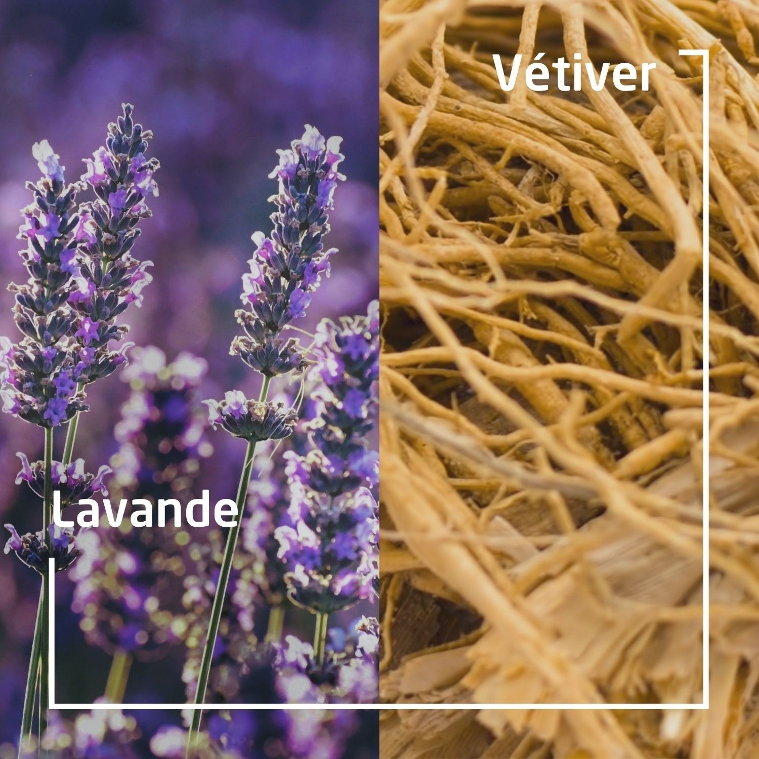 Weleda Douche végétale solide LAVANDE + VETIVER - 75 gr